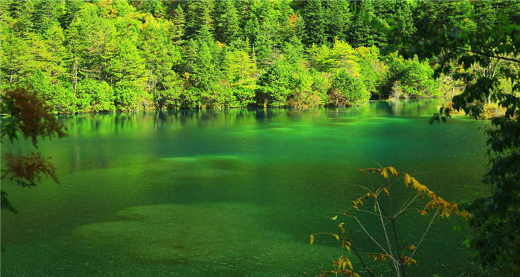 九寨沟+黄龙+都江堰+松州古城双汽3日游（四钻酒店+头等舱）3-Day Tour to Jiuzhaigou Valley Scenic and Historic Interest Area, Huanglong, Dujiangyan Irrigation Project, and Songzhou Ancient City (4-Diamond Hotel + First-Class Cabin)