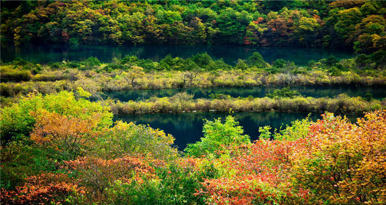 【公告】九寨沟景区关于游客购票相关事宜的公告Notice on Visitor Ticket Purchase Procedures Jiuzhaigou Scenic Area