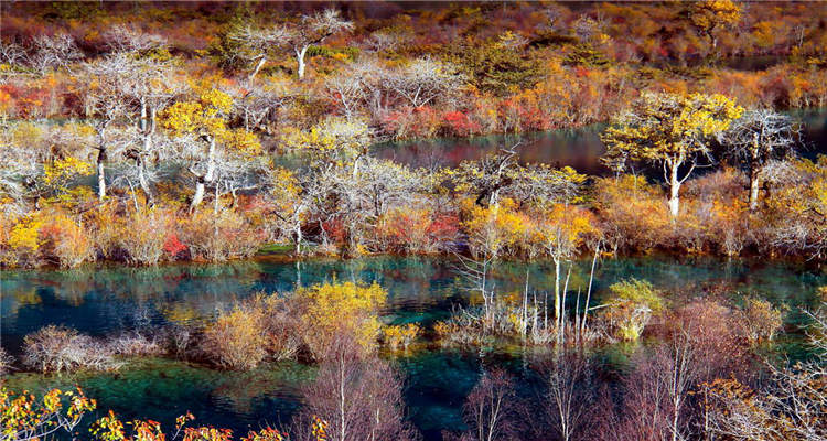 【公告】九寨沟景区关于淡季旅游接待的通告Notice on Tourist Reception during the Off-season in Jiuzhaigou Scenic Area